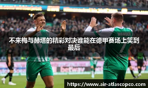 完美体育365平台官网